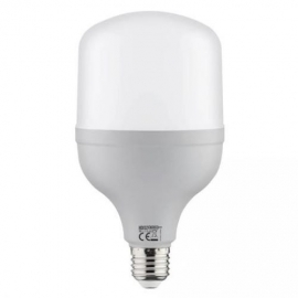 001-016-0030 30W 4200K LED SIJALICA E27  TORCH-30
